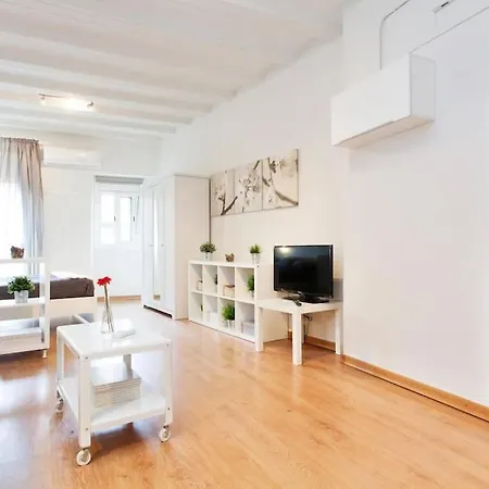 Centrico Estudio Zona Ramblas 22 Apartament